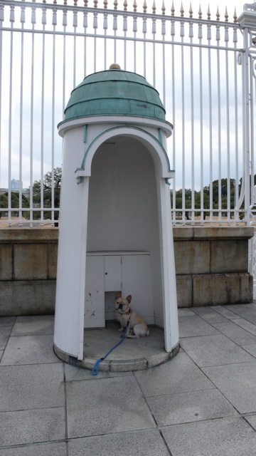 f0143269_6184076.jpg