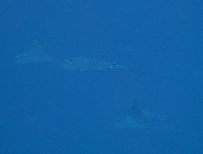 b0033573_22373031.jpg