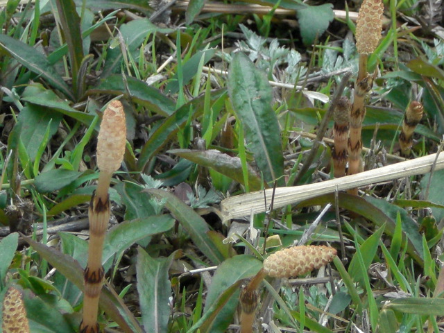 f0153475_9141773.jpg