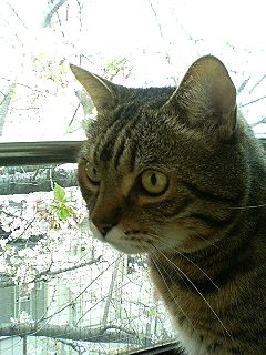 f0054677_96812.jpg