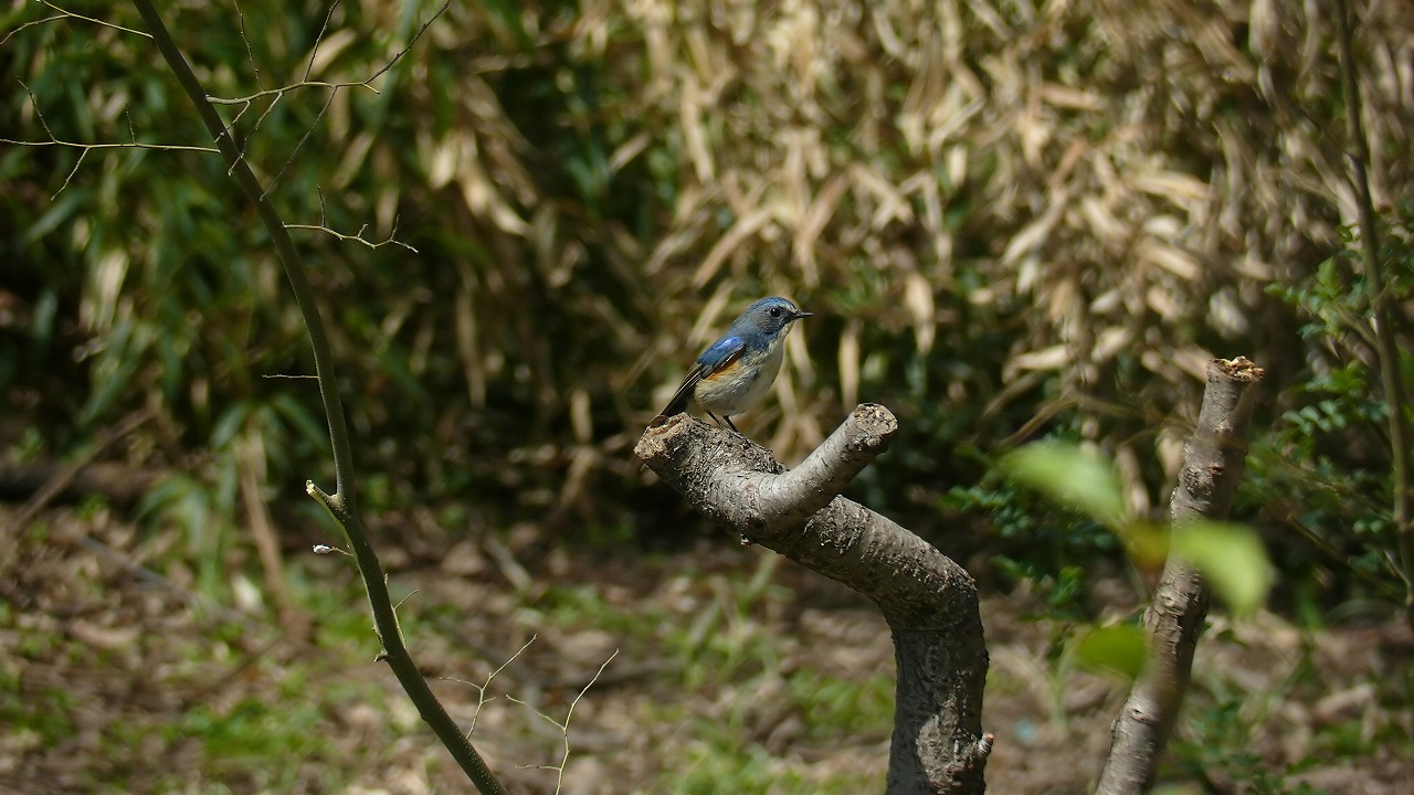 a0185081_20112660.jpg