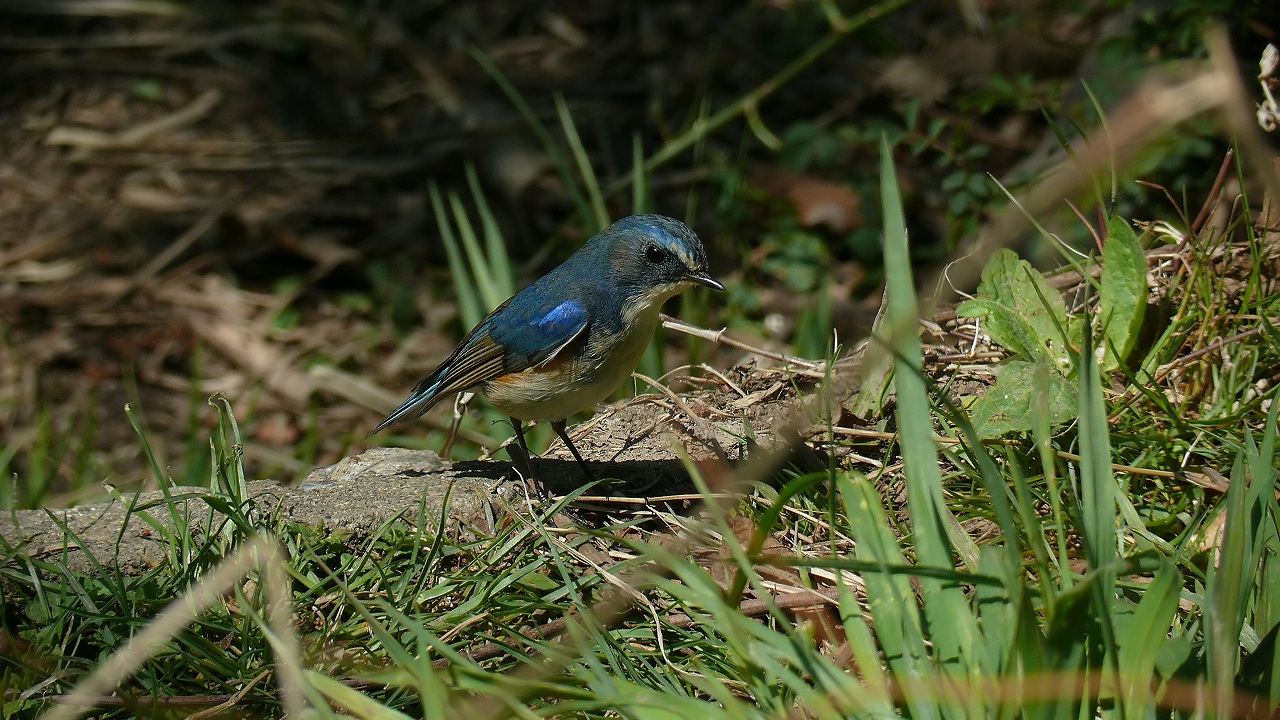 a0185081_2091874.jpg