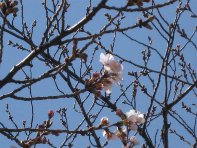 a0038882_13314452.jpg