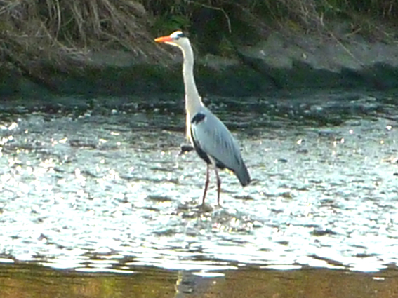 c0125283_10301192.jpg