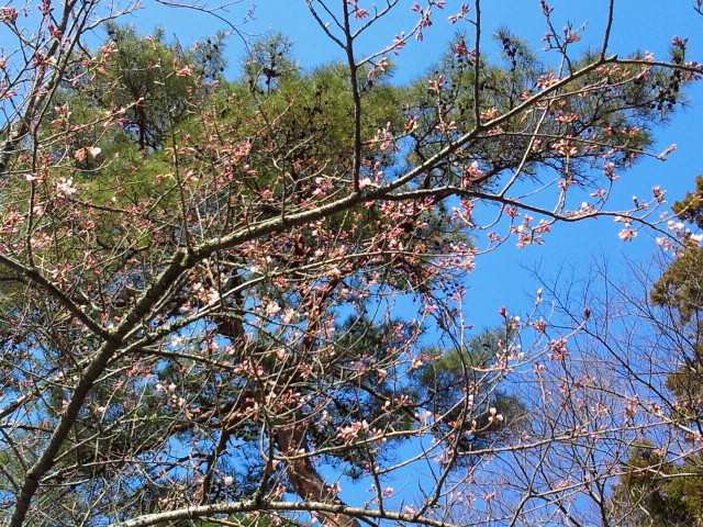 a0023085_16483844.jpg