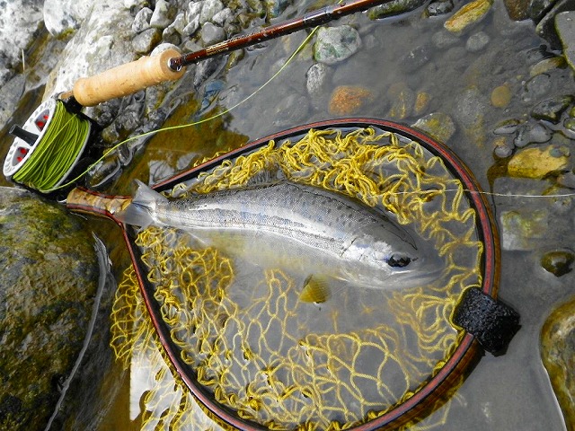 e0202393_06256.jpg