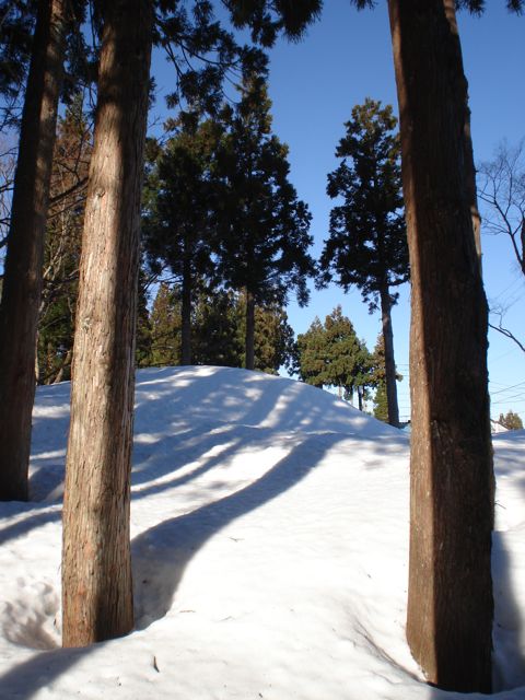 a0061599_715762.jpg