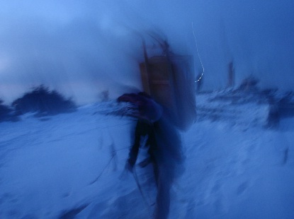 e0077899_781189.jpg