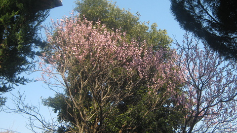 f0146802_21123727.jpg