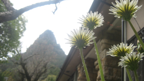 f0146802_2348365.jpg
