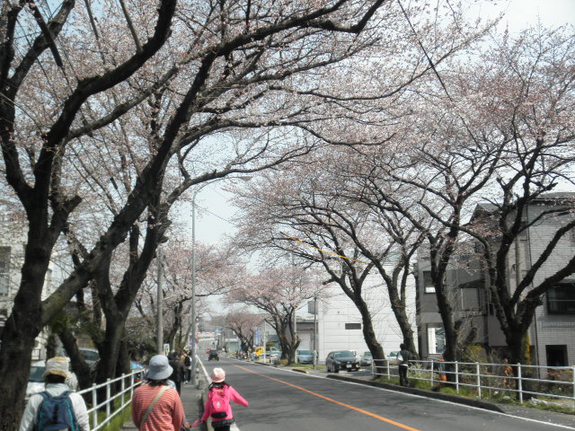 c0152507_17392910.jpg