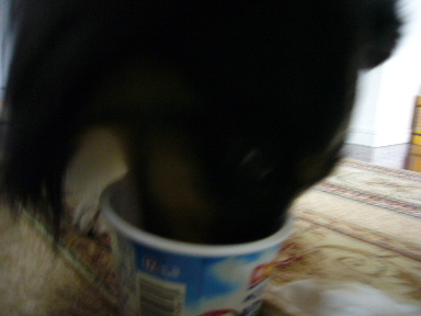e0130008_21241558.jpg