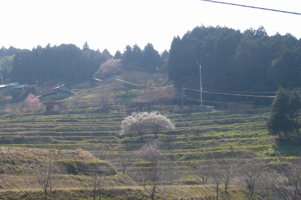 f0221708_13465942.jpg