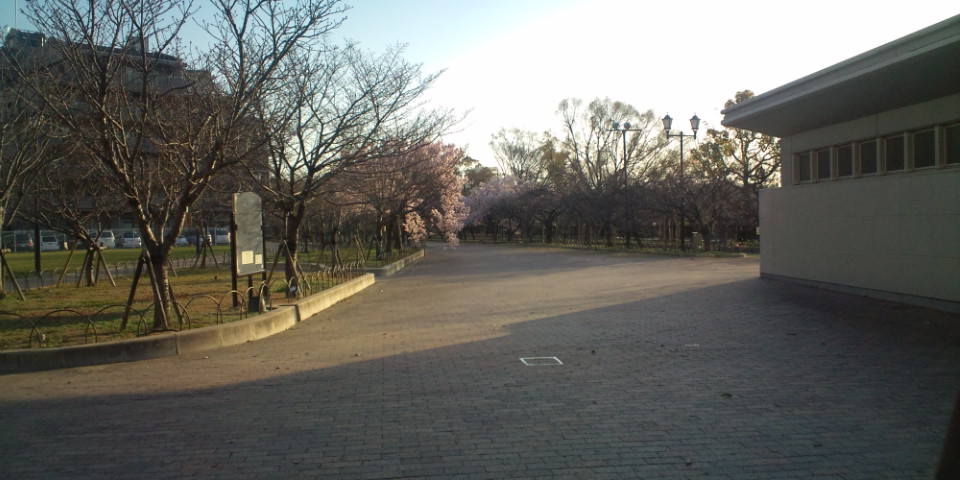 f0219810_258059.jpg