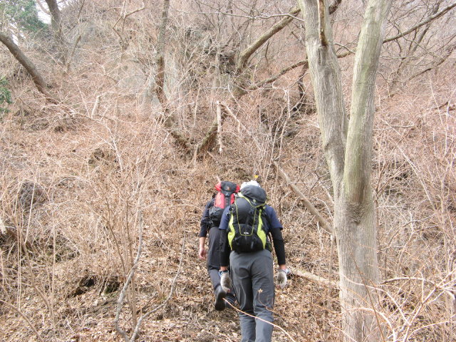 d0006512_22282721.jpg