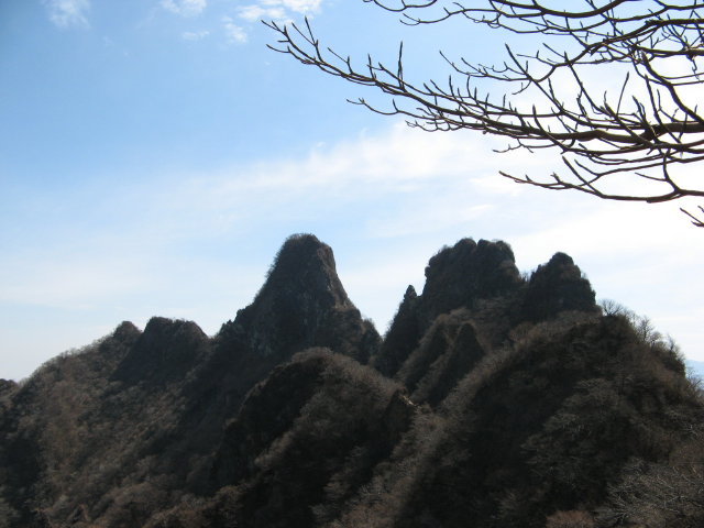 d0006512_22302913.jpg
