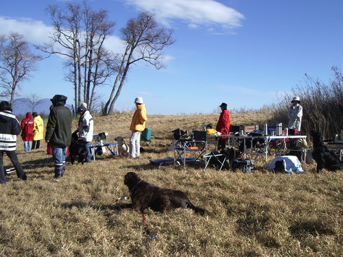 e0204314_13561075.jpg