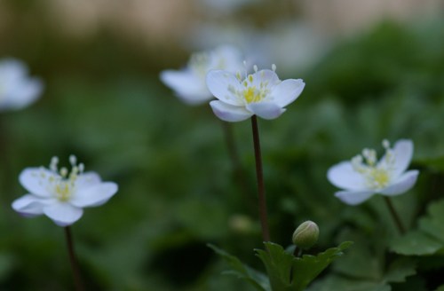 c0042418_916877.jpg