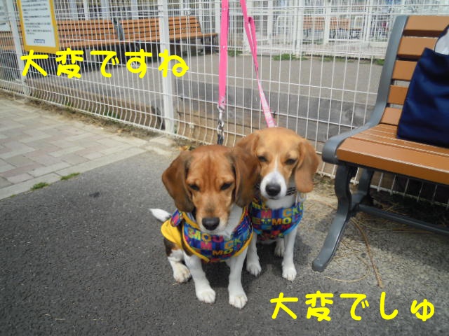 c0166622_2031469.jpg