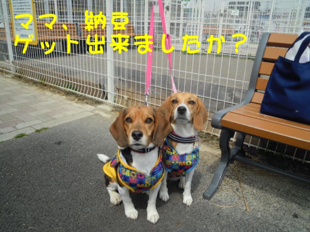 c0166622_2032274.jpg