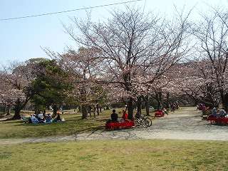 b0008825_2126155.jpg
