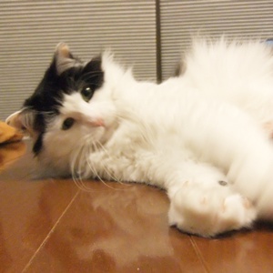 a0198826_0432765.jpg