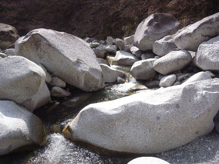 f0103126_2373176.jpg
