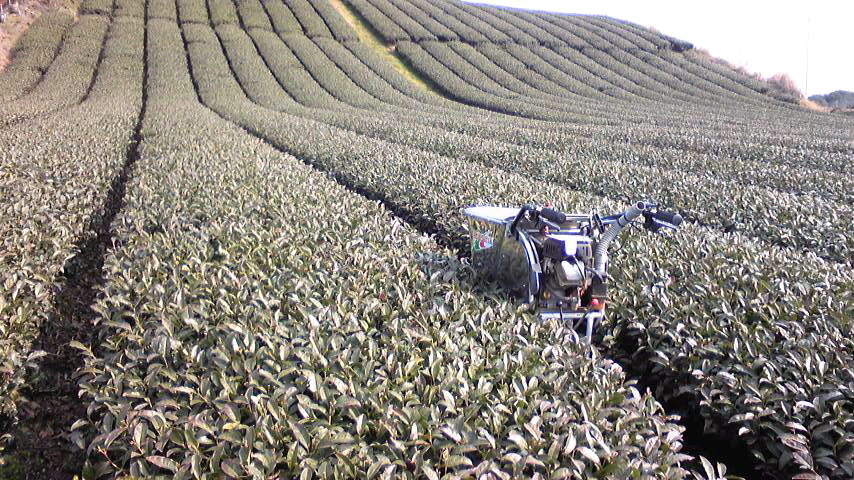 d0014229_221992.jpg