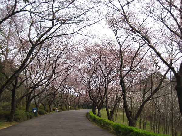 b0149340_22495978.jpg