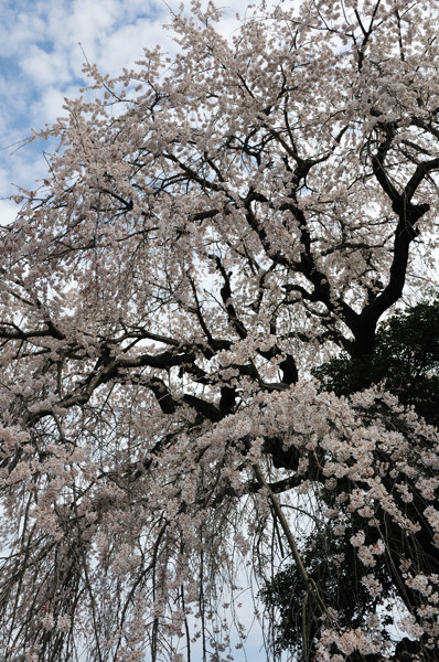 b0190445_2214391.jpg