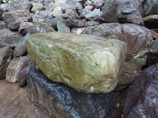 e0126548_9232198.jpg