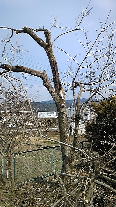 b0029350_2328787.jpg
