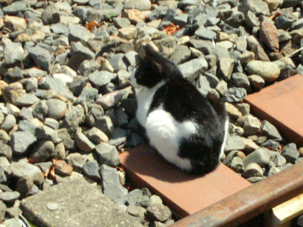 c0228356_21282412.jpg