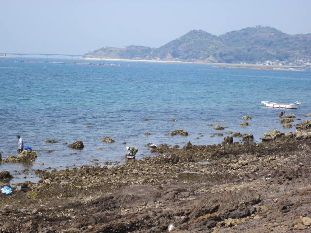 e0181260_207495.jpg