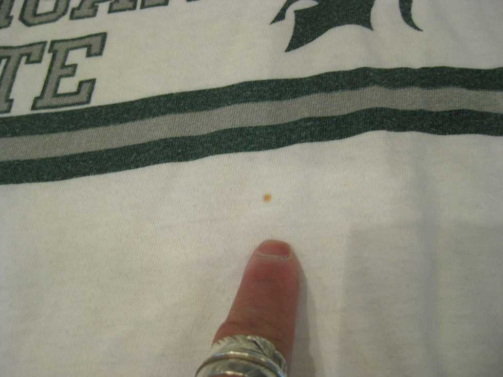 e0187362_1128525.jpg