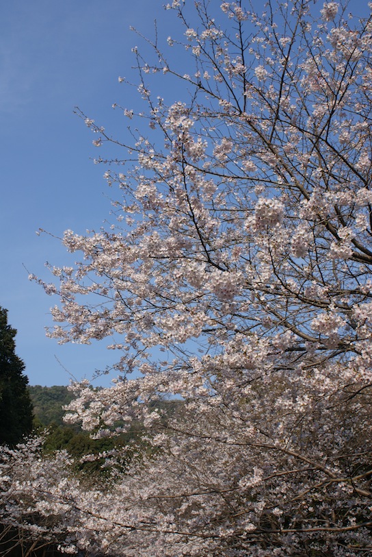 f0068368_22421895.jpg