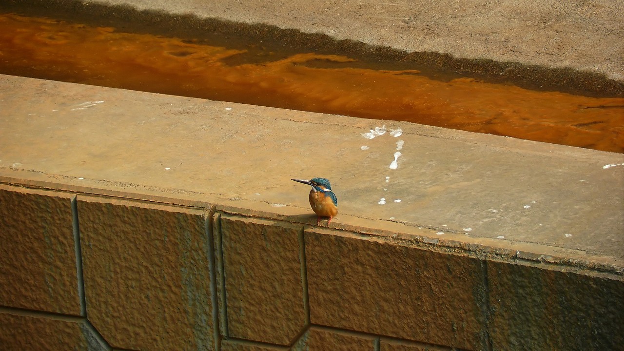 a0185081_15592893.jpg