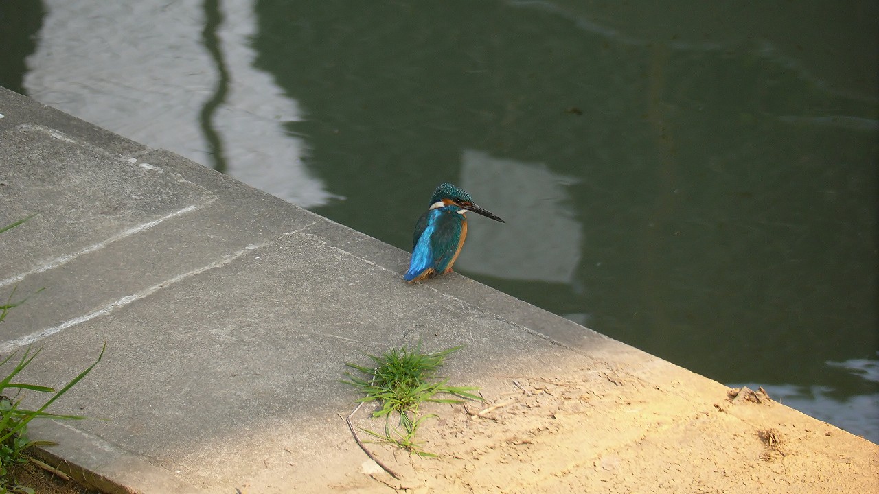 a0185081_15593779.jpg