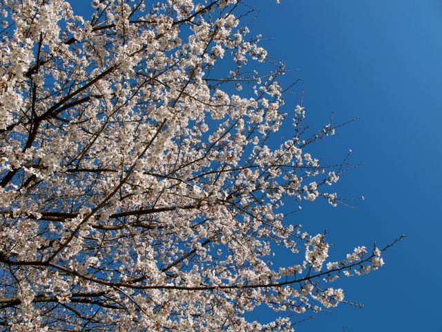 e0132881_05092.jpg