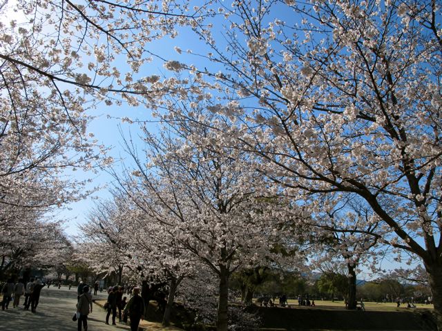 e0132881_062718.jpg