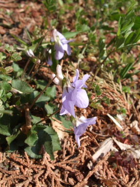 f0039281_005062.jpg