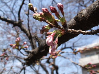 f0039281_011110.jpg