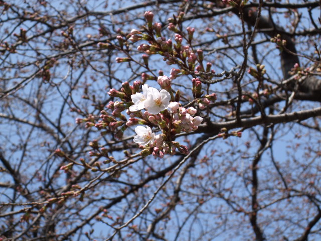 f0039281_012512.jpg