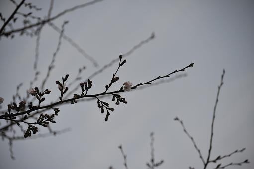 f0207681_6521019.jpg