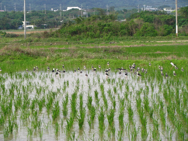 c0064389_13331464.jpg