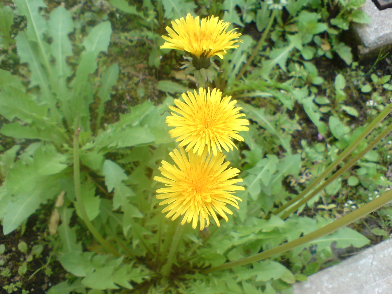 f0098094_14325962.jpg