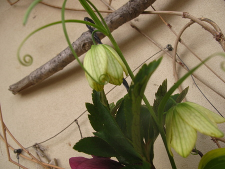 f0178897_14214261.jpg