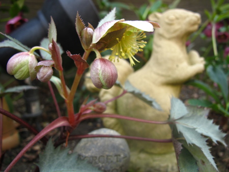 f0178897_1431696.jpg