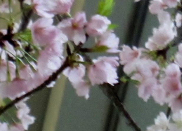 a0075800_1414405.jpg