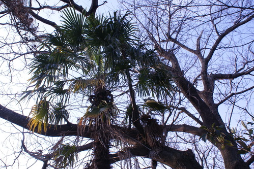 a0183301_12177.jpg